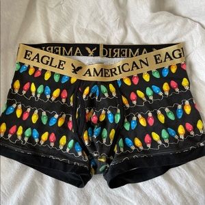 AE briefs